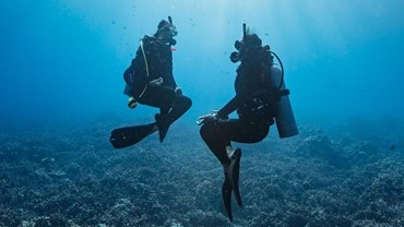 Scuba Diver to Open Water Diver